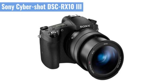Sony Cyber-shot DSC-RX10 III camaras.video